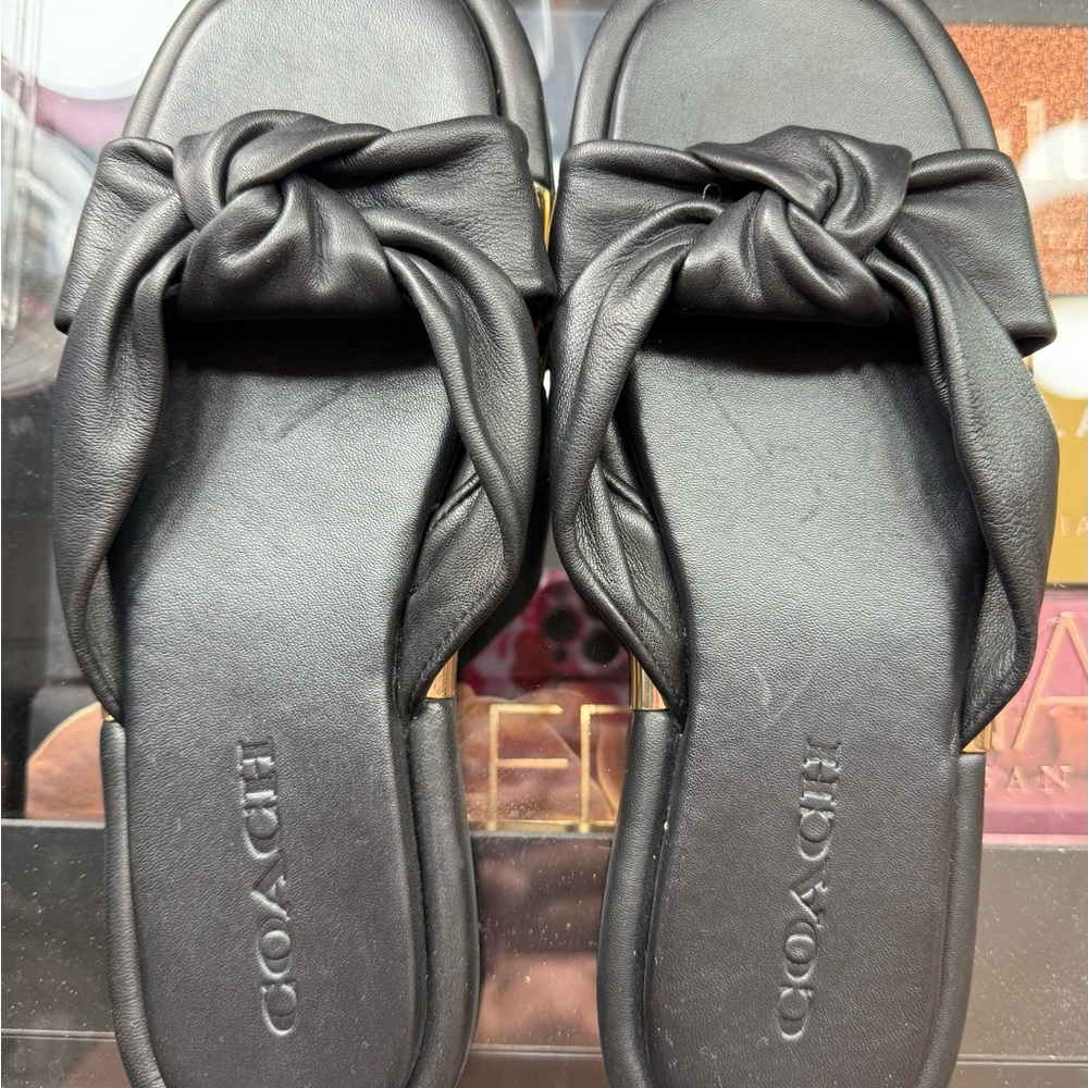 Coach Brooklyn Leather Sandals